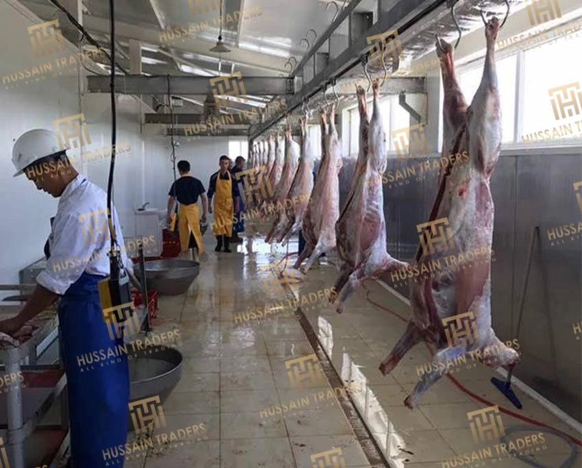 Meat
