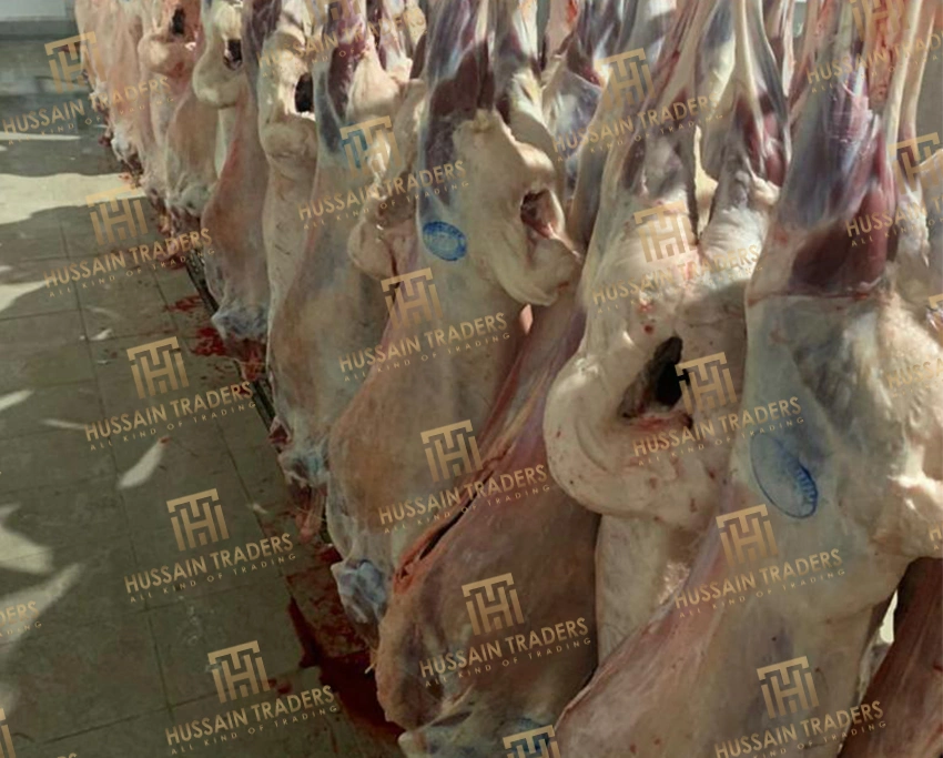 Meat