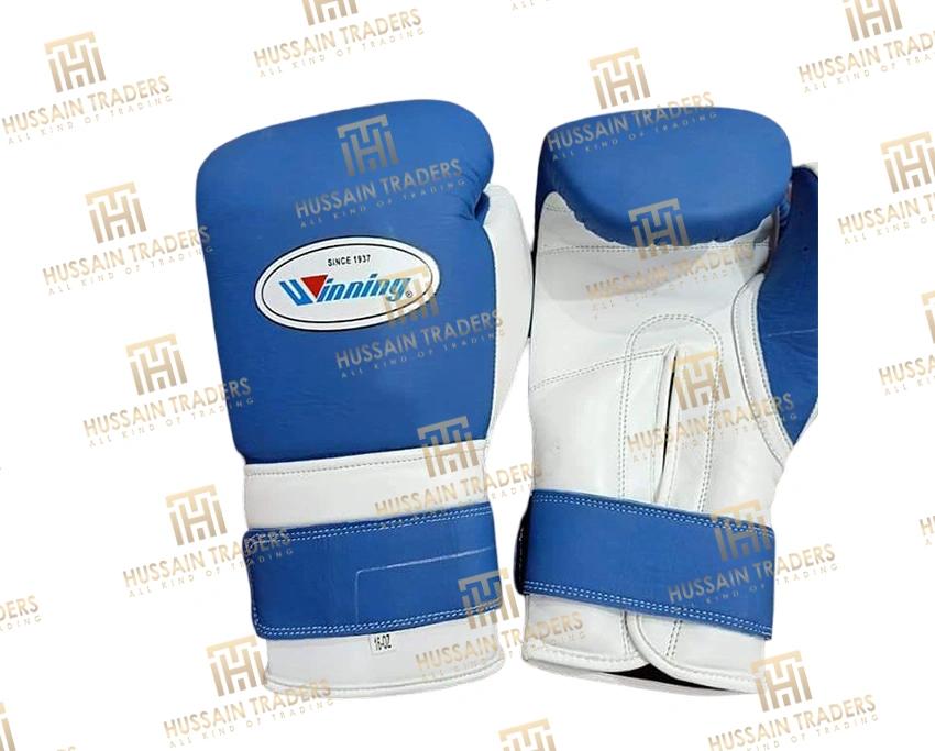 winning boxing gloves